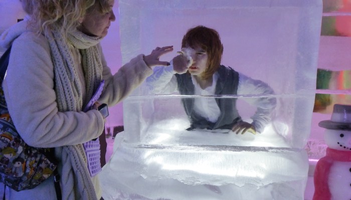 What to see and do in the Ice Museum Seoul